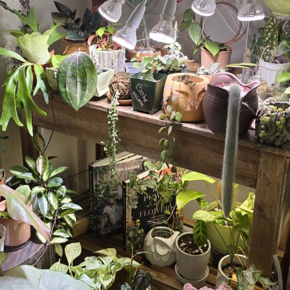 πΉBeauty Is Agelessπ· - Picture 2 of 7